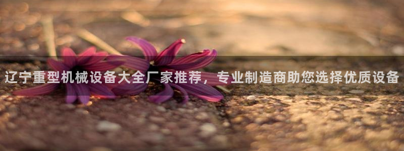 金年会入口登录：辽宁重型机械设备大全厂家推荐，专业制造商助您选择优质设备