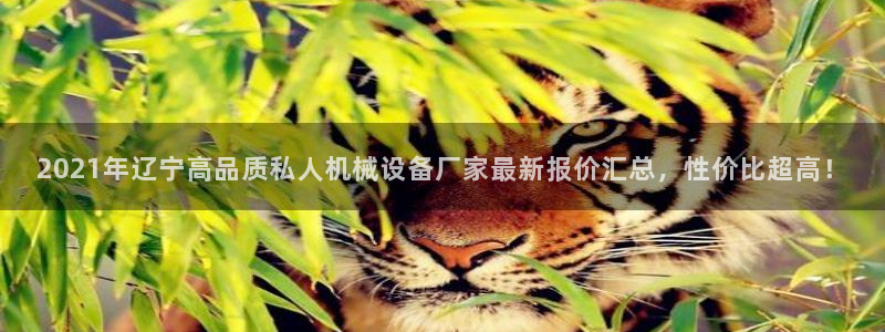 金年会手机版：2021年辽宁高品质私人机械设备厂家最新报价汇总，性价比超高！