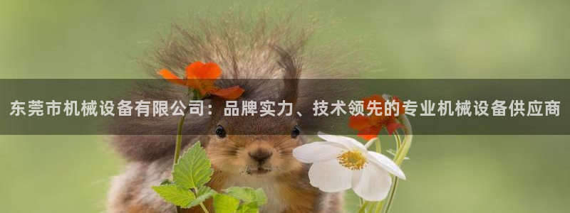 金年会官方app下载安装：东莞市机械设备有限公司：品牌实力、技术领先的专业机械设备供应商