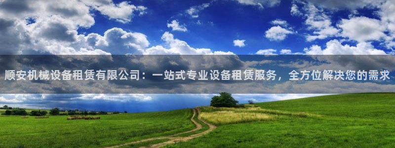 金年会在线入口：顺安机械设备租赁有限公司：一站式专业设备租赁服务，全方位解决您的需求