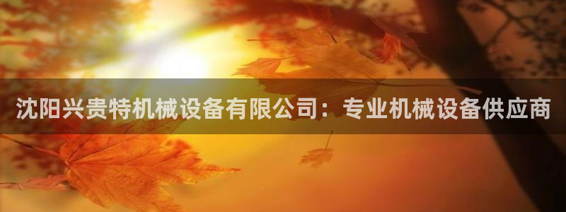 金年会app登录官网：沈阳兴贵特机械设备有限公司：专业机械设备供应商