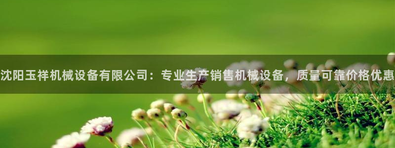 金年会官方登录入口手机版app：沈阳玉祥机械设备有限公司：专业生产销售机械设备，质量可靠价格优惠