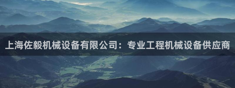 金年会官方下载入口手机版：上海佐毅机械设备有限公司：专业工程机械设备供应商