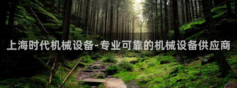 金年会手机版本网页登录：上海时代机械设备-专业可靠的机械设备供应商