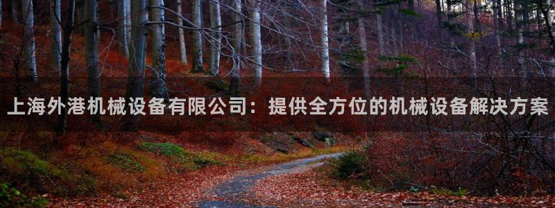 金年会ios版下载安装：上海外港机械设备有限公司：提供全方位的机械设备解决方案