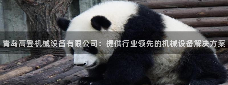 金年会官方娱乐app下载安装：青岛高登机械设备有限公司：提供行业领先的机械设备解决方案