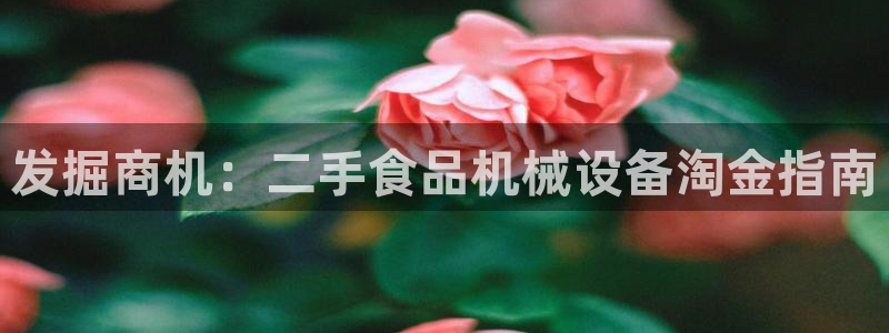 金年会手机版·(中国)官方网站-app下载：发掘商机：二手食品机械设备淘金指南