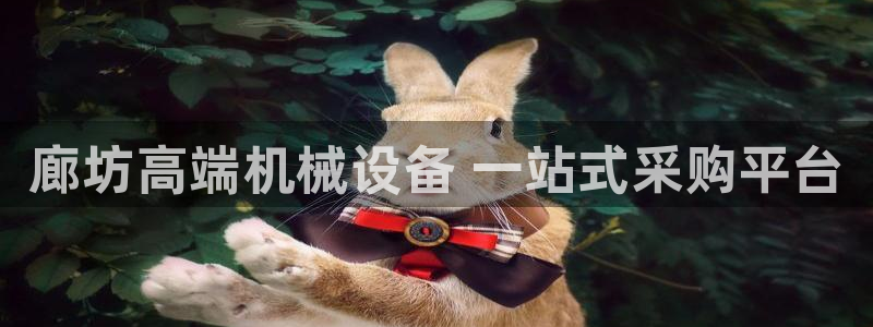 金年会官方在线入口网址是多少号：廊坊高端机械设备 一站式采购平台