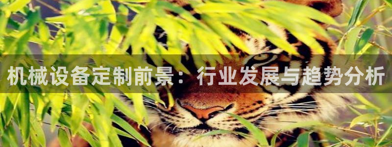 jinnian金年会体育在线入口：机械设备定制前景：行业发展与趋势分析
