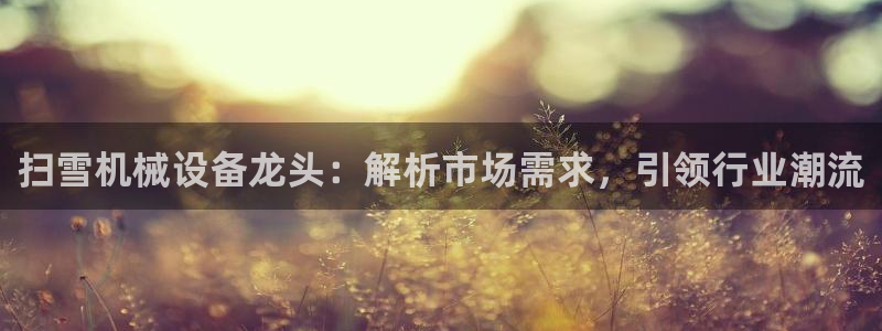 金年会金字招牌荣誉至上：扫雪机械设备龙头：解析市场需求，引领行业潮流
