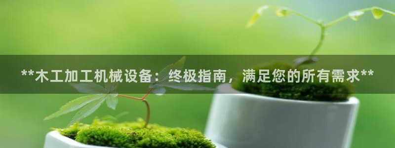 金年会体育是诈骗：**木工加工机械设备：终极指南，满足您的所有需求**