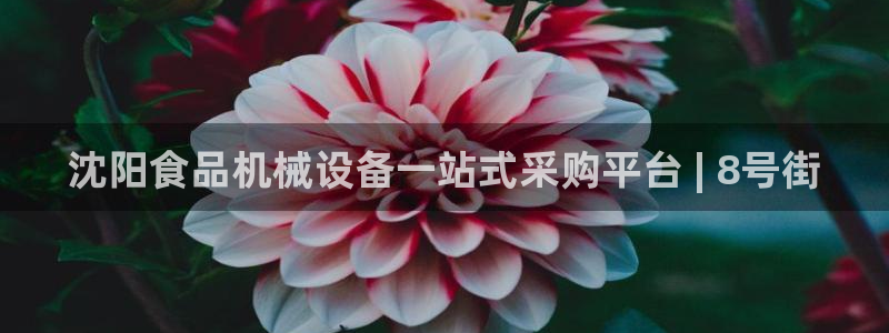 金年会官方入口2023：沈阳食品机械设备一站式采购平台 | 8号街