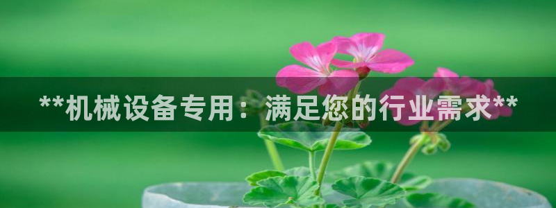 金年会下载官方网站：**机械设备专用：满足您的行业需求**