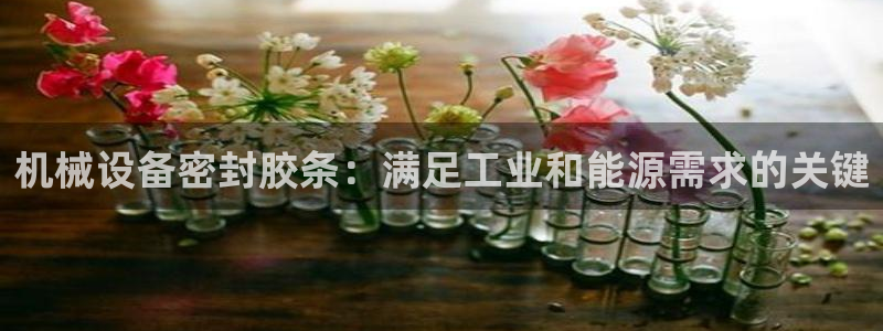 金年会官方在线：机械设备密封胶条：满足工业和能源需求的关键