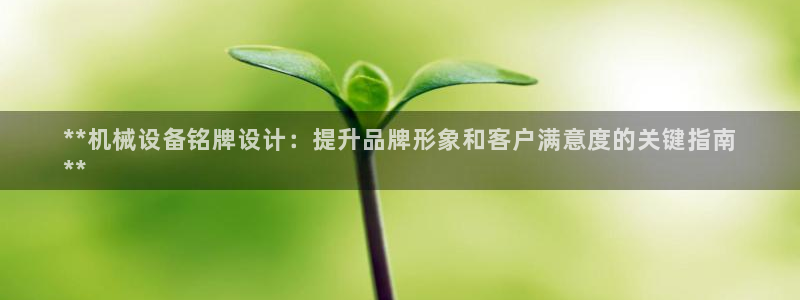 金年会体育app网页版官方入口：**机械设备铭牌设计：提升品牌形象和客户满意度的关键指南
**