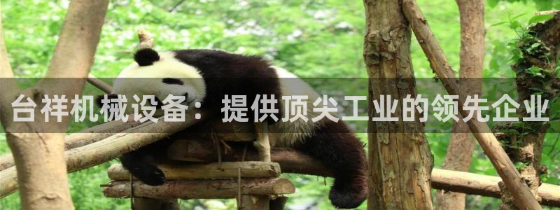 金年会官方在线：台祥机械设备：提供顶尖工业的领先企业