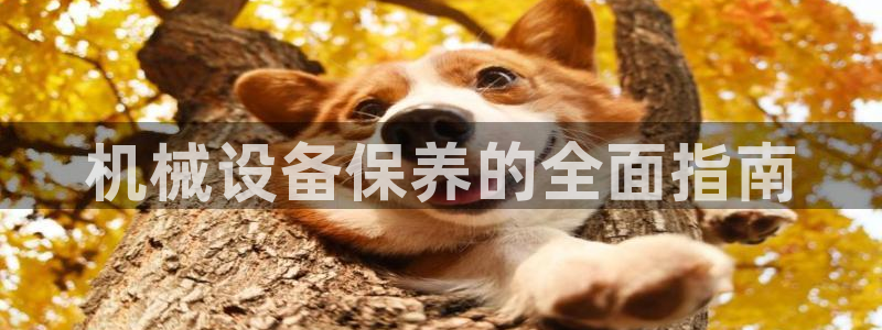 金年会信誉至上是什么意思：机械设备保养的全面指南