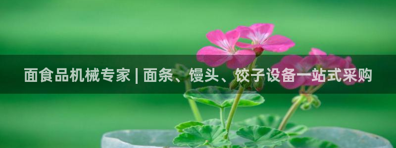 金年会体育平台合法吗：面食品机械专家 | 面条、馒头、饺子设备一站式采购