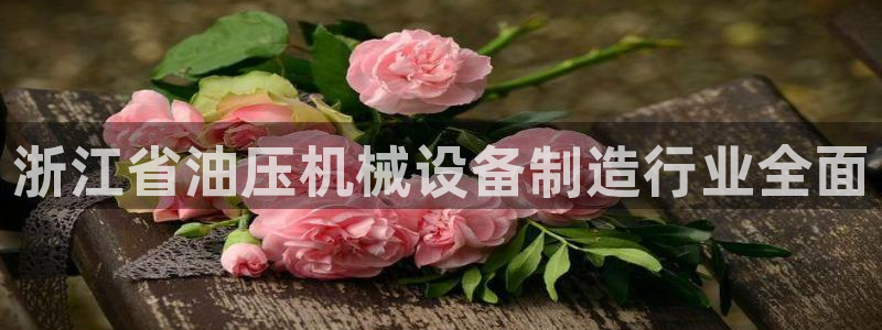 金年会官方登录入口网址是多少：浙江省油压机械设备制造行业全面