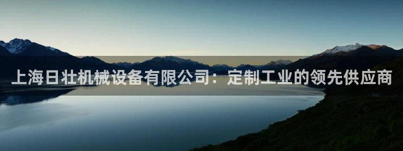 金年会赌博官网：上海日壮机械设备有限公司：定制工业的领先供应商