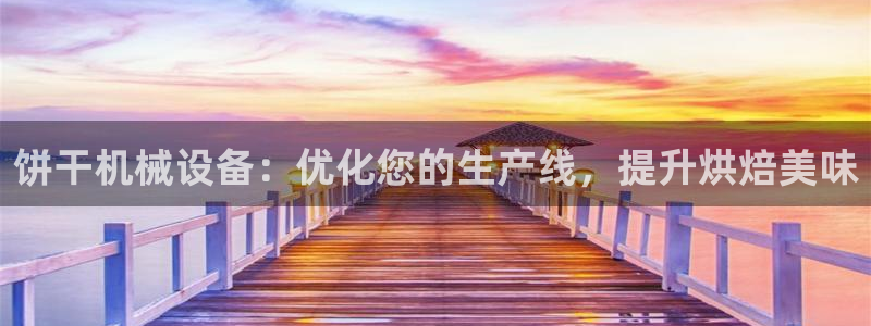 金年会金字招牌在线入口195：饼干机械设备：优化您的生产线，提升烘焙美味