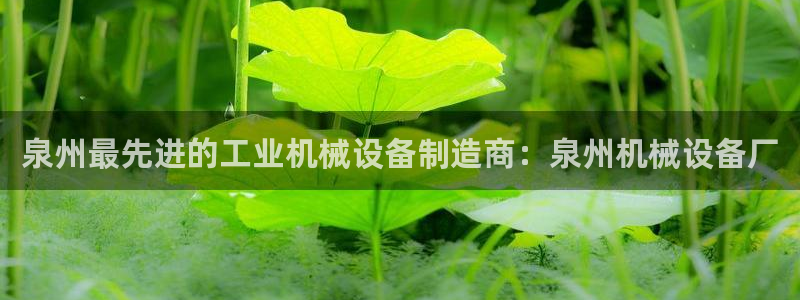 金年会官方登录入口网址是什么：泉州最先进的工业机械设备制造商：泉州机械设备厂