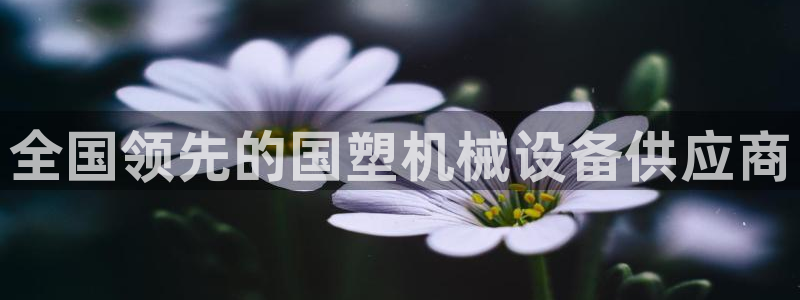 金年会体育电脑客户端登录：全国领先的国塑机械设备供应商