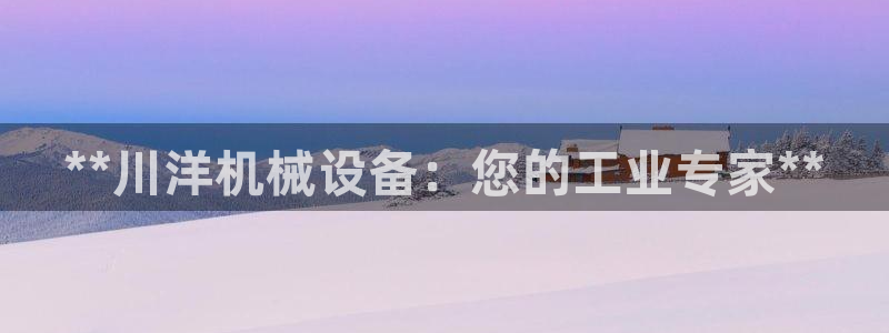 金年会体育app下载官网安卓手机：**川洋机械设备：您的工业专家**