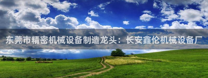 金年会手机版怎么下载：东莞市精密机械设备制造龙头：长安鑫伦机械设备厂