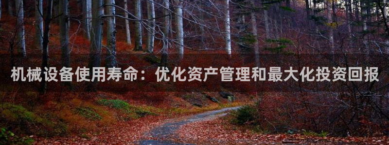 金年会app官方网站入口：机械设备使用寿命：优化资产管理和最大化投资回报