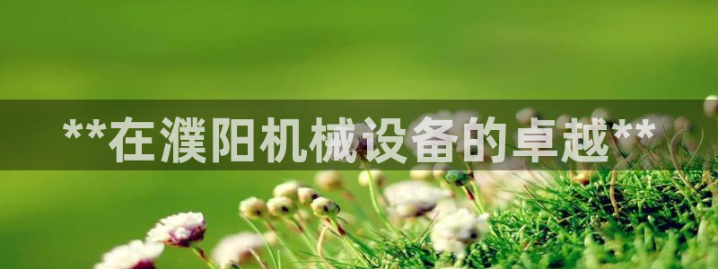 金年会体育网址登录：**在濮阳机械设备的卓越**