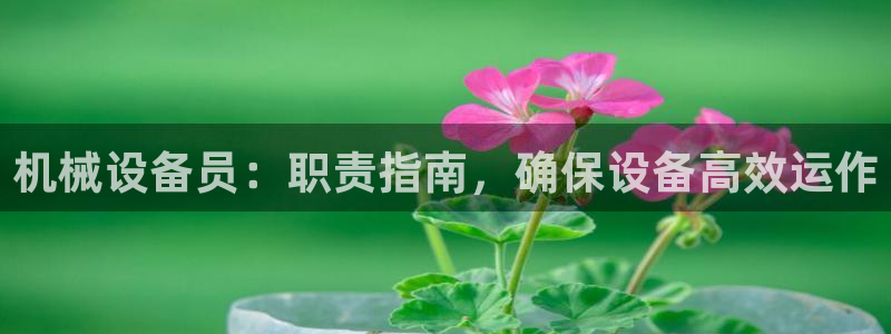 金年会信誉第一 百家号：机械设备员：职责指南，确保设备高效运作