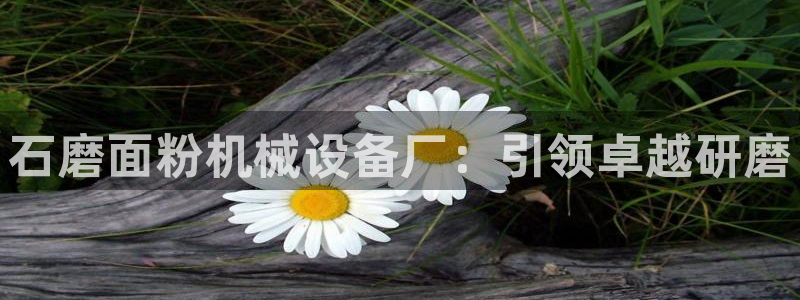 金年会信誉第一 百家号：石磨面粉机械设备厂：引领卓越研磨