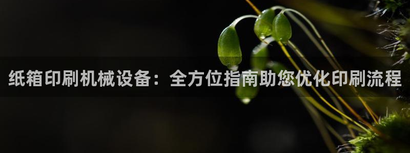 金年会手机版：纸箱印刷机械设备：全方位指南助您优化印刷流程