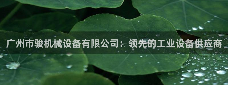 金年会体育app平台怎么样：广州市骏机械设备有限公司：领先的工业设备供应商