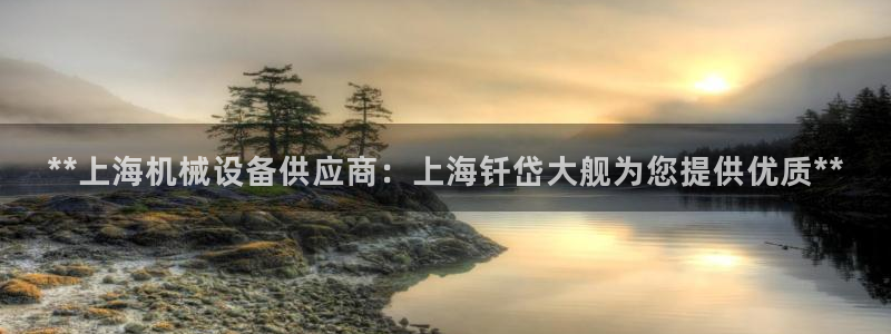 金年会平台真他妈坑人：**上海机械设备供应商：上海钎岱大舰为您提供优质**