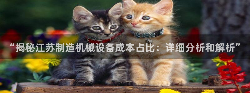金年会体育官方app下载安卓：“揭秘江苏制造机械设备成本占比：详细分析和解析”