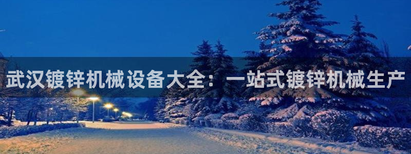 金年会VIP网页版在线登录入口：武汉镀锌机械设备大全：一站式镀锌机械生产