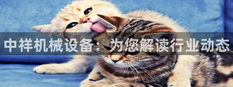 金年会官方网站首页入口：中祥机械设备：为您解读行业动态