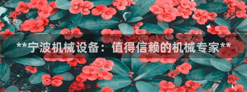 金年会网站被拒绝出款怎么处理?：**宁波机械设备：值得信赖的机械专家**