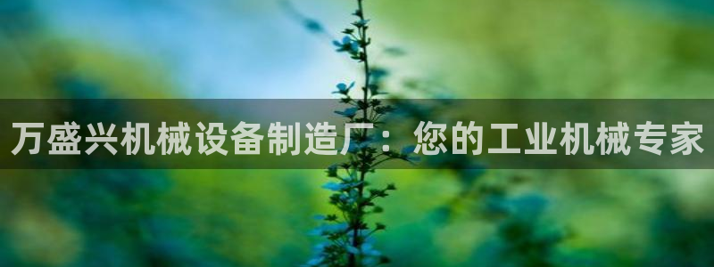 金年会体育平台是真的吗知乎：万盛兴机械设备制造厂：您的工业机械专家