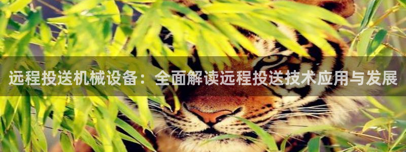 金年会金字招牌至上：远程投送机械设备：全面解读远程投送技术应用与发展