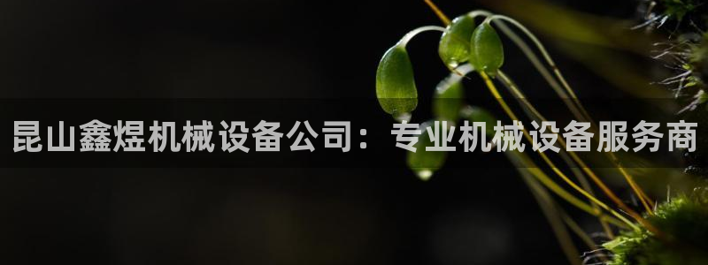 金年会入口网站：昆山鑫煜机械设备公司：专业机械设备服务商
