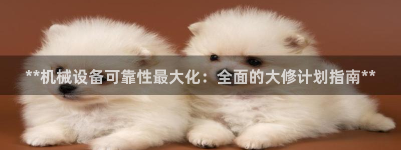 金年会金字招牌至上：**机械设备可靠性最大化：全面的大修计划指南**