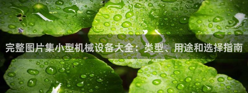金年会体育是黑台子吗：完整图片集小型机械设备大全：类型、用途和选择指南