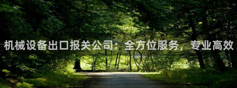 金年会网站洗黑钱：机械设备出口报关公司：全方位服务，专业高效