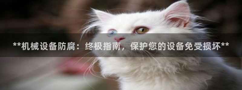金年会网址导航下载安装：**机械设备防腐：终极指南，保护您的设备免受损坏**