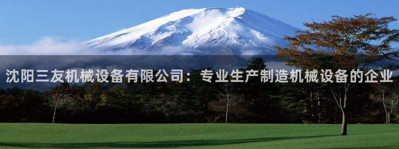 金年会pg官网：沈阳三友机械设备有限公司：专业生产制造机械设备的企业