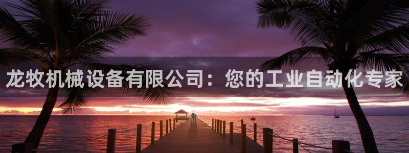 金年会电子游泳app：龙牧机械设备有限公司：您的工业自动化专家