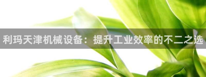 金年会ios下载：利玛天津机械设备：提升工业效率的不二之选